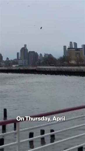 153K views · 969 reactions | On Thursday, April 10th, a helicopter crashed into the Hudson River in New York City, killing a family of five who were visiting from Spain and the pilot. What do we know about the fatal crash and about the safety of helicopter travel more broadly? https://trib.al/81CWQ4z | New York Post | Facebook