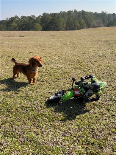 Valentine's Day Deals for RC Lovers at Horizon Hobby