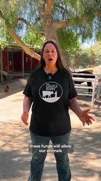 In just 3 weeks, the animals of The Gentle Barn Tennessee could lose their home 🚨