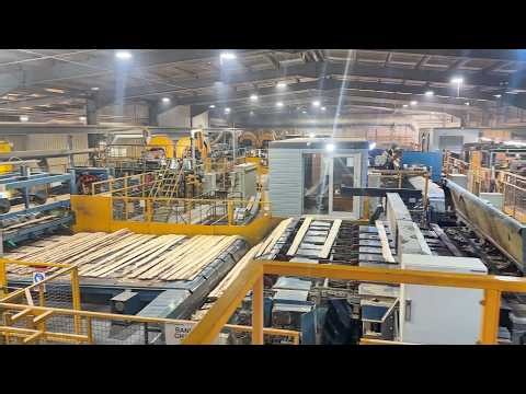 Diba Machinehandel l USNR sawmill with log yard and sorting