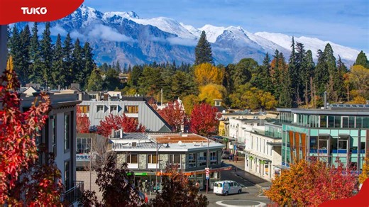 Is New Zealand a good place to live? The pros and cons explained