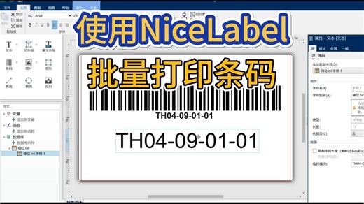 使用nicelabel批量打印条码