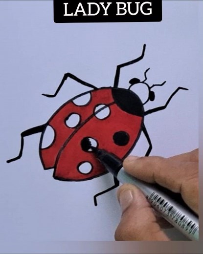 How to draw lady bug easily /Lady beetle easy drawing / Lady bird beetle diagram
