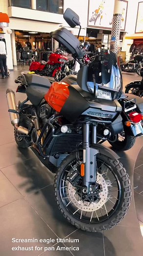 Screamin' Eagle Street Cannon Muffler for Harley Bikes