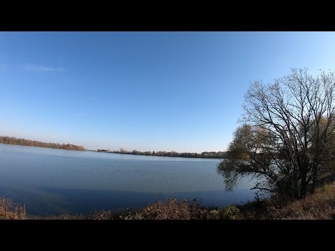 Hiking Along the Patrick Marsh Wildlife Trail
