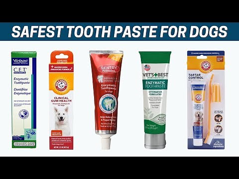 Best Tooth Paste for Dogs 🐕 ||Vet Recommended Dog Toothpaste