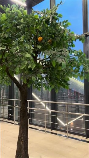 MOSCOW METRO #ytshorts