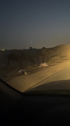 Majestic Camel Walking in Twilight Desert Landscape