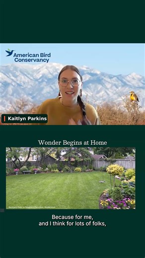 🏠 Are you a backyard birder? You’re part of something bigger than you think! ABC’s Kaitlyn Parkins shares how creating a bird-friendly yard transformed her everyday space into a place of wonder — and why backyard birding may be one of the most magical ways to connect with birds. 🐛 Habitat loss is the number one threat facing wild birds today — which means making our yards, patios, balconies, and neighborhoods bird-friendly is more important than ever. Together, millions of backyards across the
