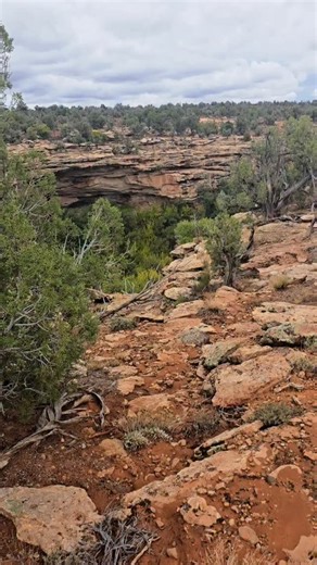 We saw lots of things today and we're just getting started. No storm will slow Kobawulf and I down. 👊🤙🤘#trek #explore #hike #cliffdwellings #history #archeology #nativeamerican | Toad Moto