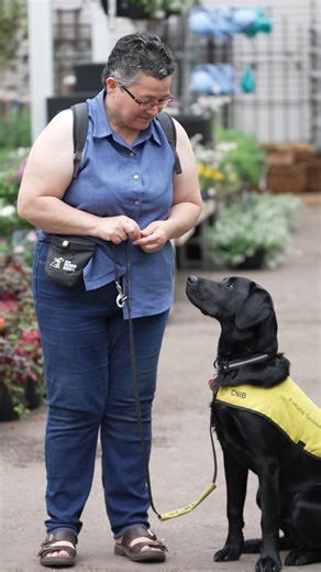 CNIB Guide Dogs | Preparing pups for their purposeful role ahead! 🦮 Puppy Finishers like Sandra provide a safe and loving home to one of our future Guide... | Instagram