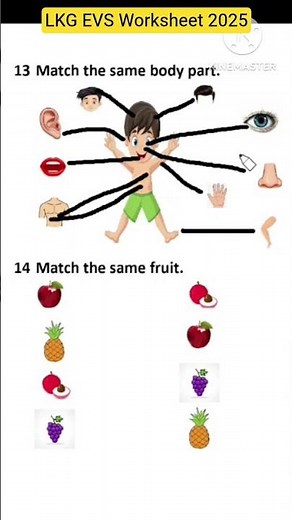 LKG EVS Worksheet 2025|lkgEVS |LKG Clasd teaching #shortvideo