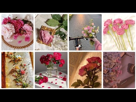 Beautiful Flowers DPZ 🌸 | Soft Aesthetic Floral DPZ 🤍 | Trending DP Collection ✨