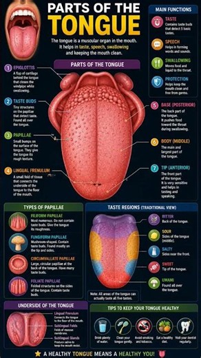 Your tongue is a superhero in disguise!
