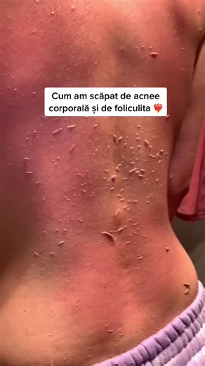 Site : www.legacyofmorocco.ro #foryoupage #foryou #omg #viral