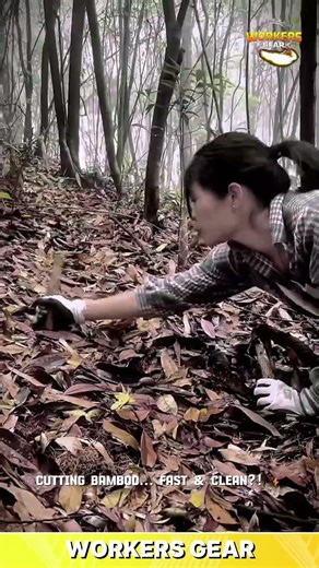 Smart Bamboo Harvesting Technique Using Precision Cutting for Fast and Efficient Collection
