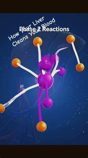 What Your Liver Does Every Day#uk #liver#usa #australia trends#USAhealth #USviral #edit#USshorts