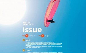 四级核心词：issue（排行 248 词频 169438）