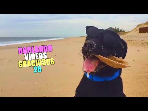 DUBBING FUNNY VIDEOS 26