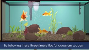 Aqueon Replacement Specialty Filter Pads Ammonia Reducer 20/75