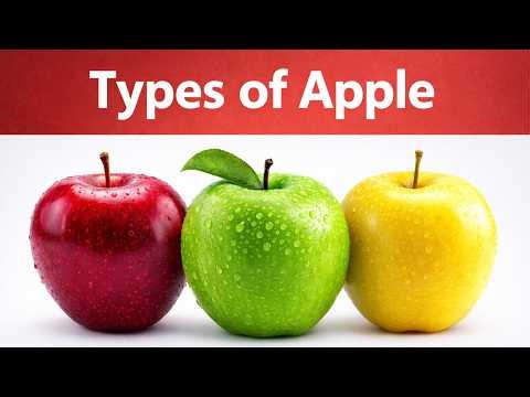 30 Types of Apples | Discover Apple Varieties Around the World