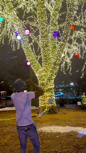 Reflecting on a Chef's Journey in 2025