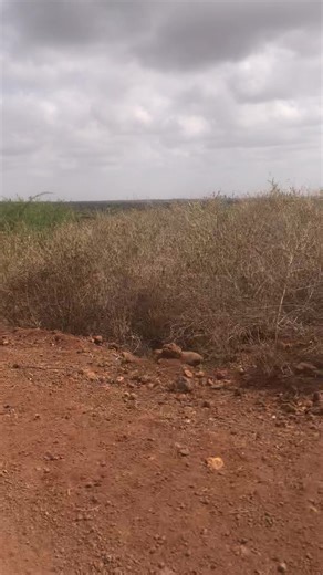 Explore Marsabit Gospel Music with Immanuel Church Media