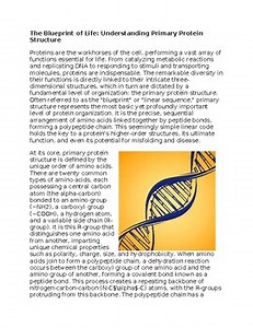 DNA Blueprint Worksheet for Sub-Plan or Classwork & Homework