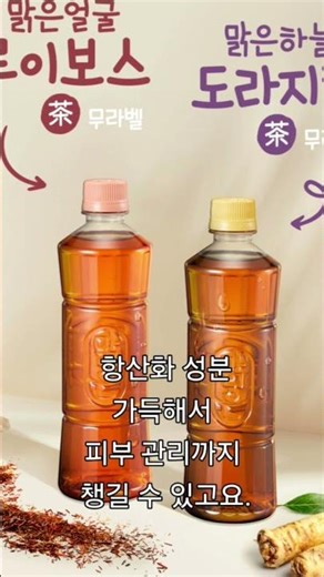 카페인 없이 이 정도라고? 루이보스차 미쳤다 / 프로필 내 게시물 "오디세이드 추천상품" 361번 #카페인제로 #항산화음료