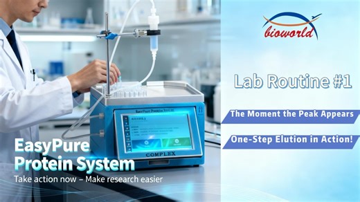 Bioworld Lab Routine: One-Step Elution in Protein Purification | Antibody of cellular signal transduction pathways posted on the topic | LinkedIn