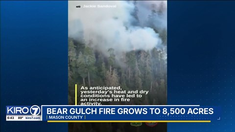 VIDEO: Local forest fires