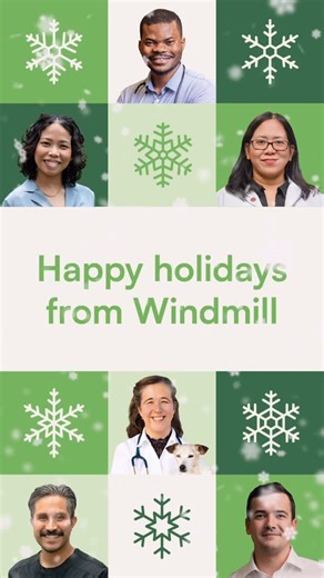 Windmill Microlending on Instagram: "Every client’s story is unique, and together they made this year brighter. From all of us at Windmill, warmest wishes for a joyful holiday season and a hopeful new year. ✨❄️ From December 25 to January 1, we’ll have reduced operations, but our client support and loan management teams will still be here to help you during this time."