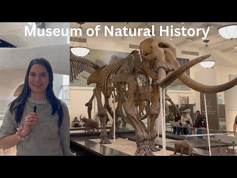 American Museum of Natural History: Everything You Need to Know About Your Visit!