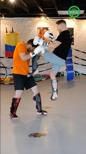 Dutch Kickboxing - Knees to the Head Knockouts with Andy Souwer