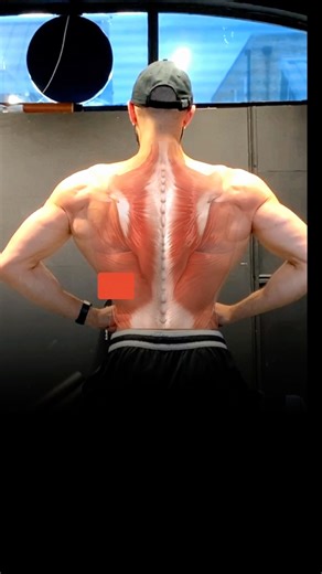 The Best Exercises to Build your Back