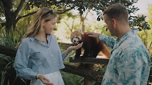 🐨🌹WIN 1 of 2 ULTIMATE DATES TO SYMBIO🌹🐨 - Red Panda & Meerkat experience for two - How would you like to win one of two ultimate Autumn date packages here to Symbio as we get you and your special someone behind the scenes with our Red Pandas and Meerkats just like you see here? All you have to do is: - Write in the comments below: "I need to be taken on a date to @Symbio Wildlife Park" and tag your special plus one. Entries close 5pm Friday 12 April, with the winners chosen via random select