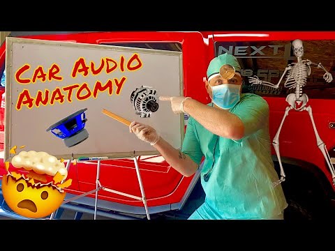 How Car Audio Works! Beginner to Advanced! Plus 101 Basics!
