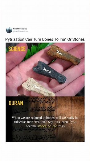 The Process Of pyritization and Fossilization In The Quran Visit Chnl For More miracles
