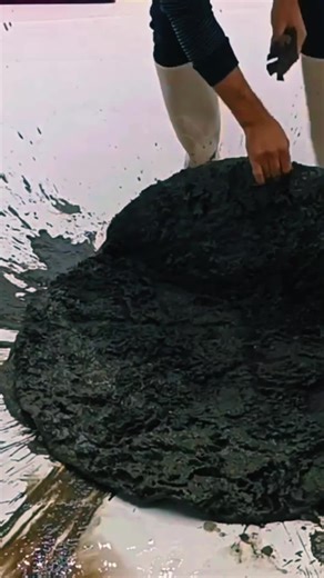 Transforming the Dirtiest Carpet: A Before and After