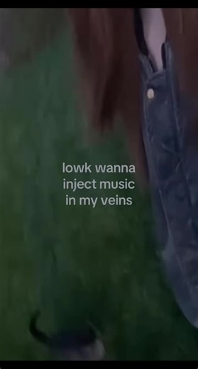 𝓛𝓸𝓵𝓪 (@lolaloveuuu)’s videos with Hero (slowed) - Skyper