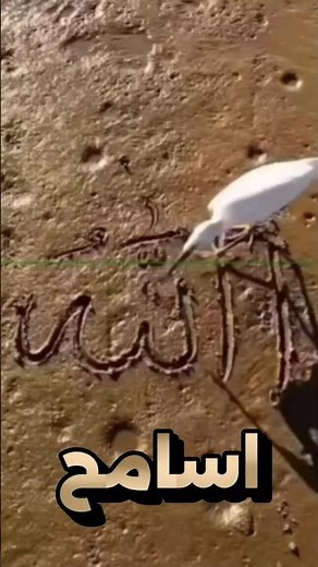 لاأسامح أي شخص يرى اسم الله ولايضع له لايك🤔