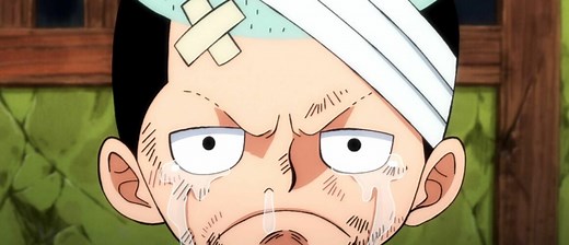 One Piece, casting, diffusions .... - Télé-Loisirs