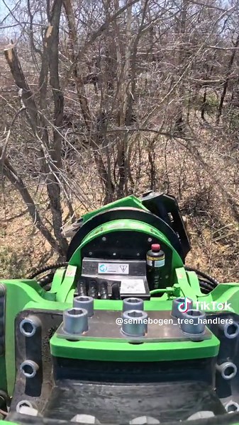 Sennebogen’s tree shear makes anything 14” dbh and less a breeze to cut #forestry #sennebogen718 #treecare #treecutting #vegetationmanagement