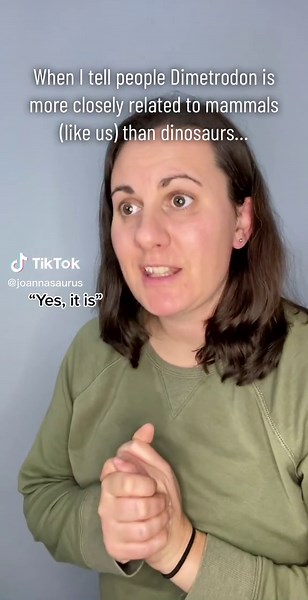 You can pick your friends, but you can’t pick your relatives…😅 #paleontology #dimetrodon #mammal #synapsid #relative #learn