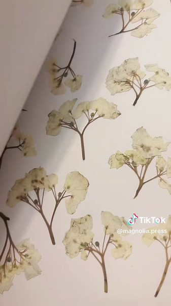 Another all white bouquet ready to be designed! #pressedflowers #pressedbouquet #flowerpreservation #floralpreservation