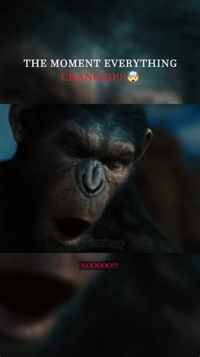 Caesar says NO for the first time 🗣️ #shorts #planetoftheapes #caesar #movie #film