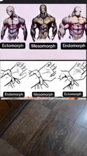 rc.gains on Instagram: "Comment your type"