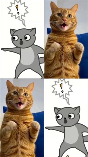 Poisonous! Cat prevents eating cheeseburger😅🥳🤔