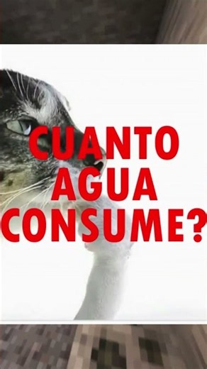 LA IA NOS VA DEJAR SIN AGUA #chatgpt #ecogpt