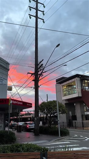 Exploring Sydney's Public Transport System